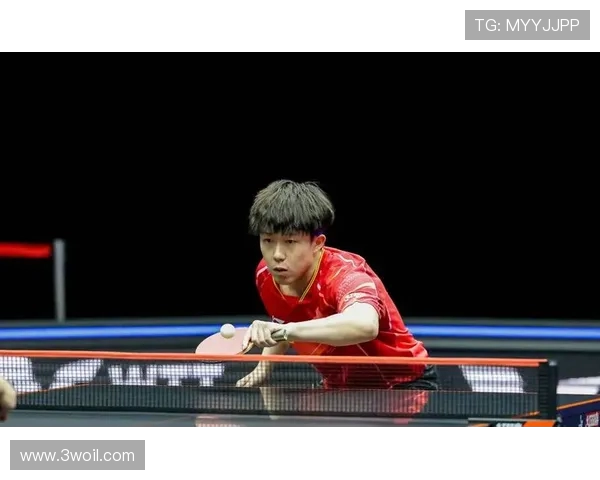 乒乓球的魅力与挑战：透视北京乒乓球队的转型之路与未来发展