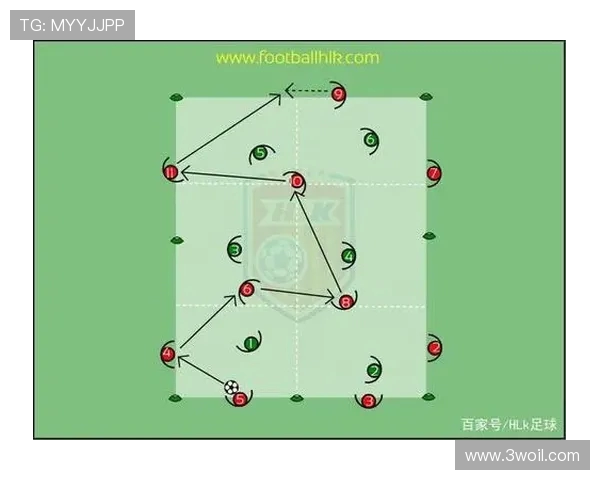 杭州飞盘队力量表现的数据分析与战术探讨