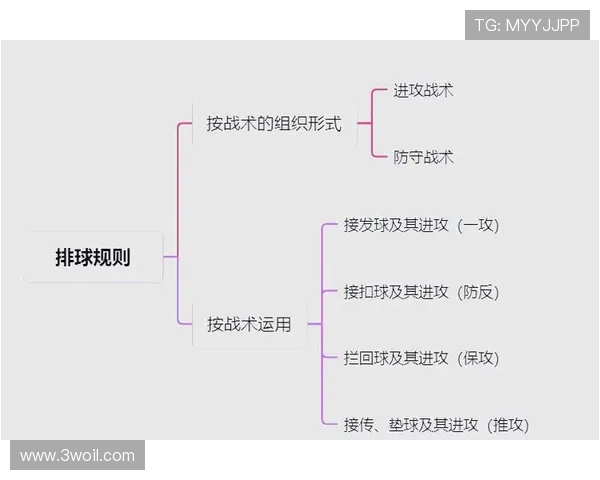 武汉排球队的阵地战策略与技战术深度解析