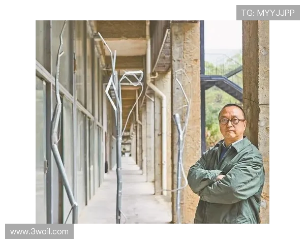 深圳排球队逆袭之旅的背后故事与奋斗精神的完美结合